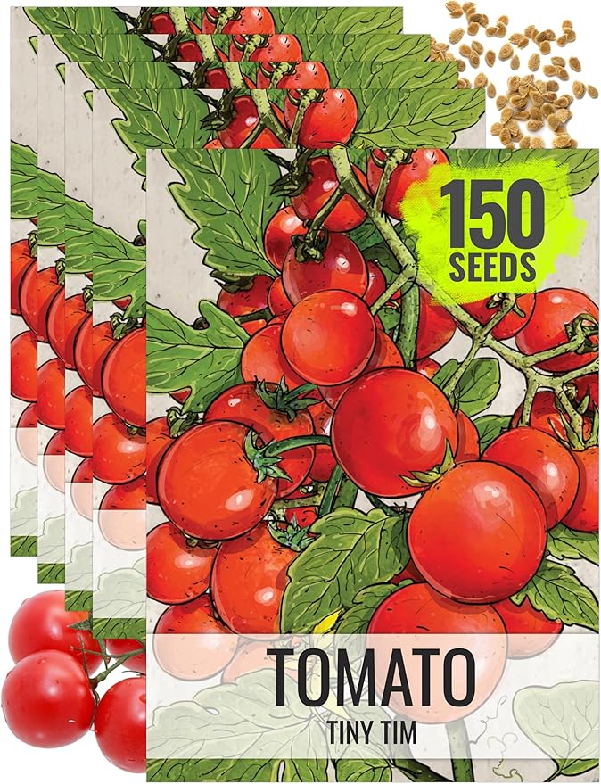 Seed Needs Tiny Tim Tomato Seeds for Planting Dwarf Cherry Tomatoes - Non-GMO Heirloom & Untreated Veggie Seed to Plant a Home Grown Outdoor Vegetable Garden (5 Packs)