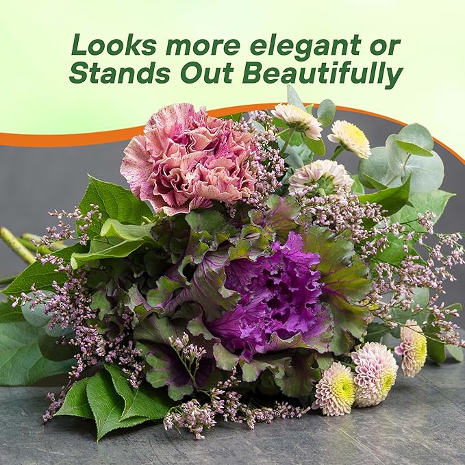Outsidepride Ornamental Cabbage Flower Seeds - 2000 Pcs. Annual, Cold Tolerant & Low Maintenance, Flower Seeds for Planting Vibrant Mixed Blooms, Great for Garden Edging, Borders, & Container Displays