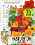 Seed Needs Nasturtium Seeds for Planting Jewel Blend - Heirloom Untreated & Open Pollinated Annual Wildflowers - Edible Mixed Flowers to Plant a Butterfly Garden (1 Pack)