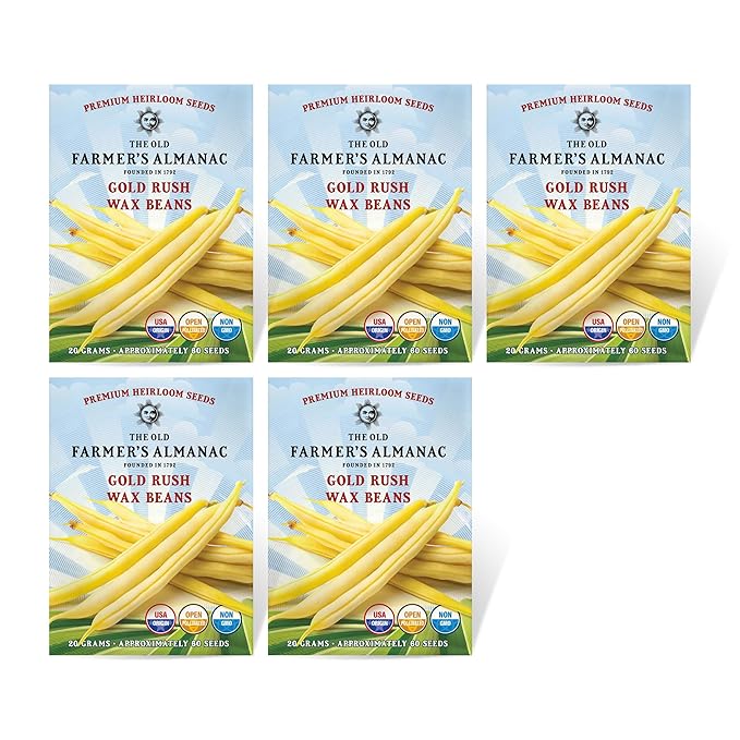 The Old Farmer's Almanac Heirloom Gold Rush Wax Bean Seeds - Premium Non-GMO, Open Pollinated, Heirloom, USA Origin (5 Packets - 100 Grams - Approx 300 Seeds)