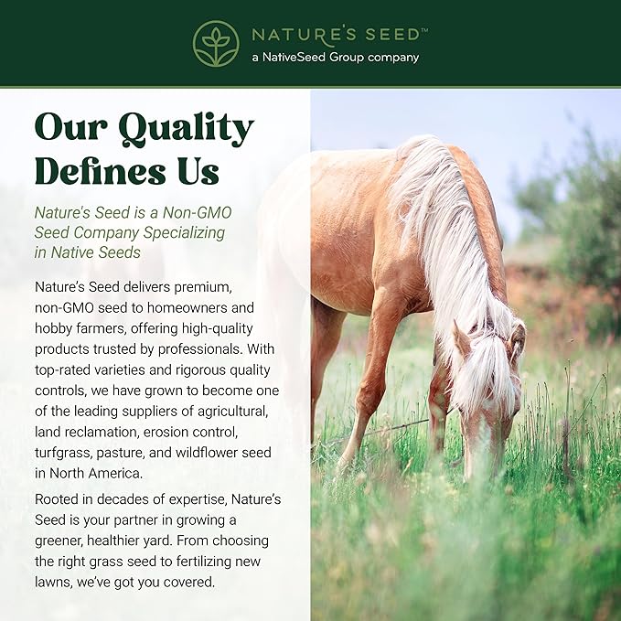 Nature's Seed Northern Horse Forage Mix, Equine Pasture Grass Seed Nutrition Blend, 10 lbs