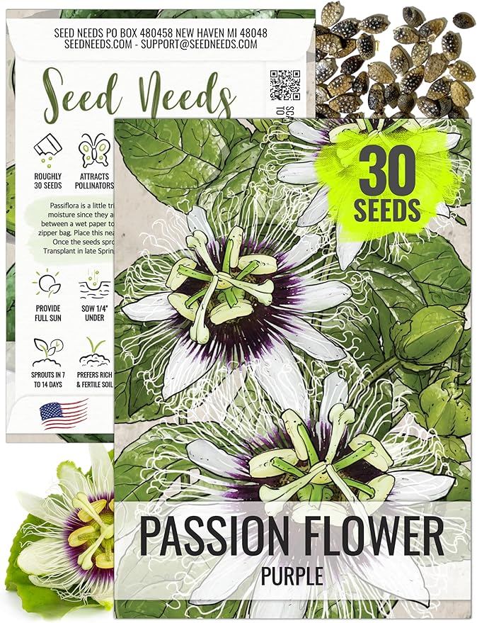 Seed Needs, Purple Passion Flower Seeds - 30 Heirloom Seeds for Planting Passiflora edulis - Annual Heirloom & Open Pollinated Vine/Climber Produces Exotic Blooms (1 Pack)