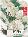 Seed Needs Cream Peony Poppy Seeds for Planting Poppies - Heirloom & Open Pollinated Soft White Flowers to Attract Butterflies & Pollinators to a Butterfly Garden (5 Packs)