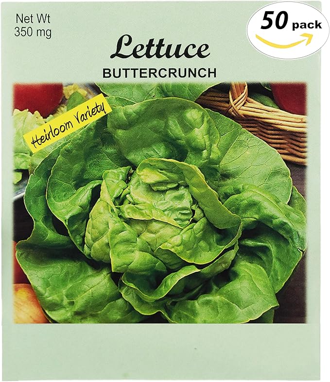 Set of 50 Buttercrunch Lettuce Vegetable Seed Packs - 100% GMO Free - Heirloom - Black Duck Brand (50, Lettuce- ButterCrunch)