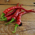 Ilica Turkish Chile Pepper - 25 Seeds - Heirloom & Open-Pollinated Variety, USA-Grown Chili Seeds, Non-GMO Vegetable Seeds for Planting Outdoors in The Home Garden, Thresh Seed Company