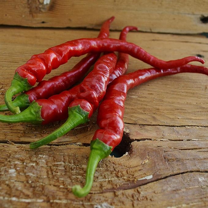 Ilica Turkish Chile Pepper - 25 Seeds - Heirloom & Open-Pollinated Variety, USA-Grown Chili Seeds, Non-GMO Vegetable Seeds for Planting Outdoors in The Home Garden, Thresh Seed Company