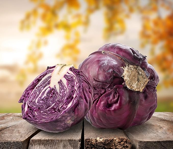 Seeds Vegetable Cabbage Purple - 150 Seeds