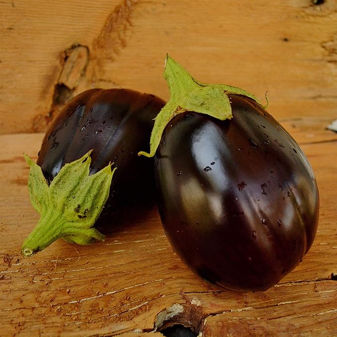 Black Beauty Eggplant - 50 Seeds - Heirloom & Open-Pollinated Variety, Non-GMO Vegetable Seeds for Planting Indoors or Outdoors in Containers or The Home Garden, Thresh Seed Company