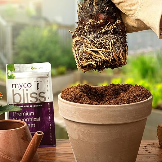 Worm Bliss (1 Qt) + Myco Bliss Powder (200 g) - Mycorrhizal Fungi Inoculant & Organic Worm Castings for Plants - Mycorrhizae for Plants - Earthworm Castings Organic Fertilizer - Mycorrhizal Inoculant