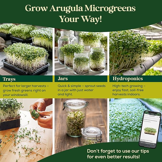 Arugula Sprouting & Microgreens Seeds - 220,000 Non-GMO Heirloom Seed, 1lb Resealable Bag - High-Germination Arugula Seeds for Sprouting in Jars, Soil, Hydroponics & Microgreen Trays