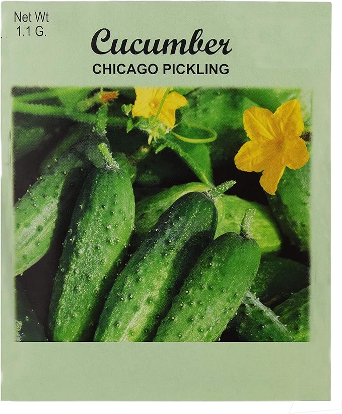 Set of 50 Cucumber Chicago Pickling Vegetable Seed Packs - 100% GMO Free - Heirloom - Black Duck Brand (50, Cucumber- Chicago Pickling)