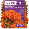 KVITER 75 Orange Butterfly Weed Seeds (Asclepias Tuberosa) - Orange Milkweed, Blazing Wildflower, Butterfly Favorite - Perennial Flower Seeds in Seed Packets for Outdoor Gardens and Roadsides