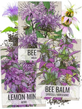 Seed Needs, Bee Balm Seed Packet Collection (3 Individual Varieties of Seed for Planting) Non-GMO & Untreated