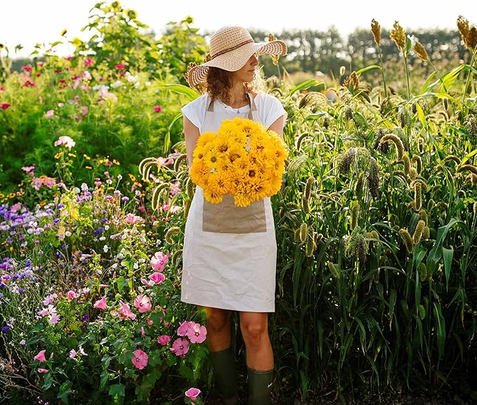 Eden Brothers Zinnia Seeds - Super Cactus Sungod, Non-GMO Seeds for Planting, Packet | Low-Maintenance Flower Seeds, Plant During Spring, Zones 3, 4, 5, 6, 7, 8, 9, 10