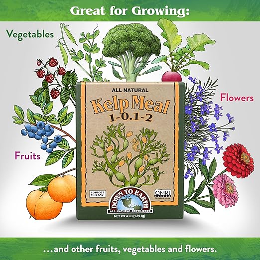 Down To Earth All Natural Fertilizers Organic Kelp Meal - Plant Food with Seaweed (Ascophyllum nodosum), Potassium and Trace Minerals 1-0.1-2, 4 lb