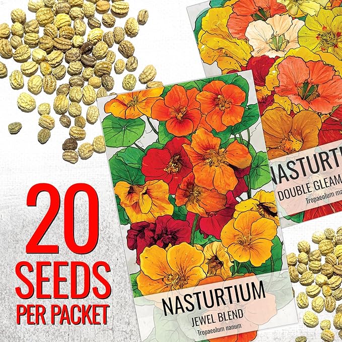 Seed Needs Nasturtium Seeds for Planting Edible Flowers - Collection Set of Jewel Blend & Double Gleam Nasturtiums to Attract Pollinators to a Butterfly Garden - Trailing and Bush Varieties (2 Packs)