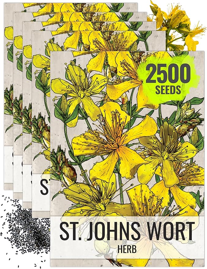 Seed Needs St. Johns Wort Seeds for Planting - Non-GMO Heirloom & Untreated Medicinal Herb Seed to Plant a Home Grown Outdoor or Indoor Garden (5 Packs)