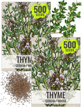 Seed Needs Thyme Seeds for Planting - Non-GMO Heirloom & Untreated Perennial Herb Seed to Plant a Culinary Kitchen Garden Indoors or Outdoors (2 Packs)