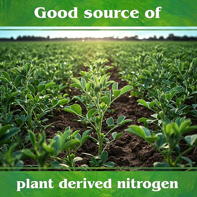Down To Earth All Natural Fertilizers Organic Alfalfa Meal - Plant Food for Roses, Bulbs, Flowers and Ornamentals 2-0-1, 0.5 lb