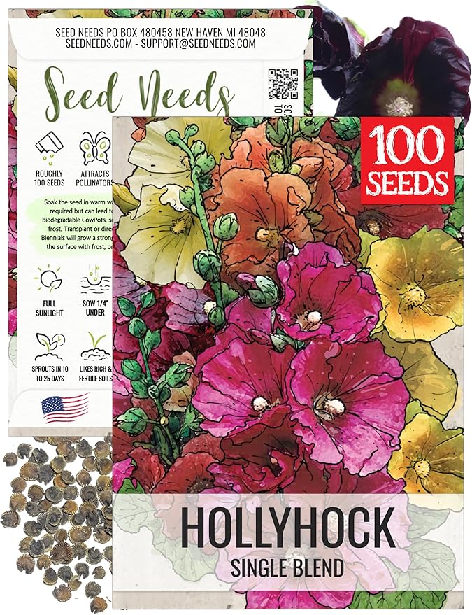 Seed Needs, Single Blend Hollyhock Seeds - 100 Heirloom Seeds for Planting Alcea rosea - Biennial Open Pollinated Flowers to Attract Butterflies & Bees to the Garden (1 Pack)