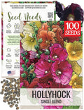 Seed Needs, Single Blend Hollyhock Seeds - 100 Heirloom Seeds for Planting Alcea rosea - Biennial Open Pollinated Flowers to Attract Butterflies & Bees to the Garden (1 Pack)