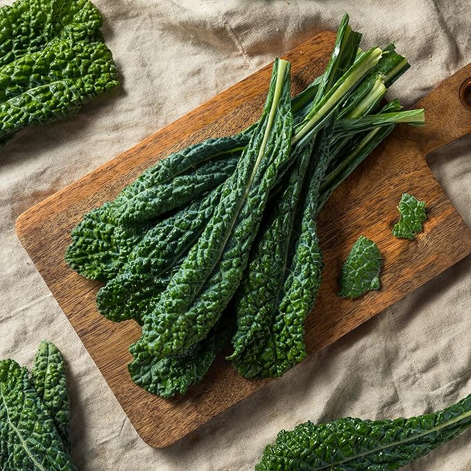 Back to The Roots 100% Organic Heirloom Seeds - Tuscan Kale Value Pack (560mg Total)