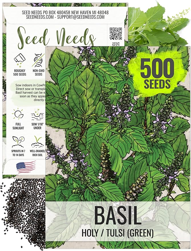 Seed Needs Holy Basil Tulsi Seeds for Planting - Non-GMO Heirloom & Untreated Medicinal Herbal Plants to Grow Indoors or Outdoors - Sacred Hindu Herbs (1 Pack)