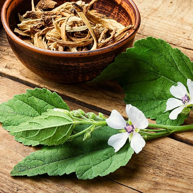 Banyan Botanicals Organic Marshmallow Seeds – Althaea officinalis – Grow Marshmallow Root for Your Home Apothecary or for Marshmallow Root Tea – 50 Count – Open Pollinated Non-GMO Easy-to-Grow