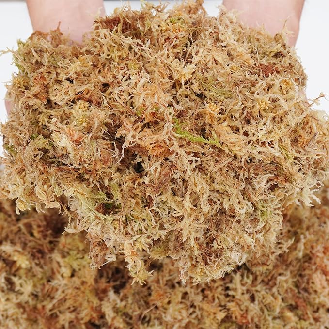 Sphagnum Moss 2.5 lb for Plant Propagation, Great Orchid Potting Mix, Help with Maintain Humidity