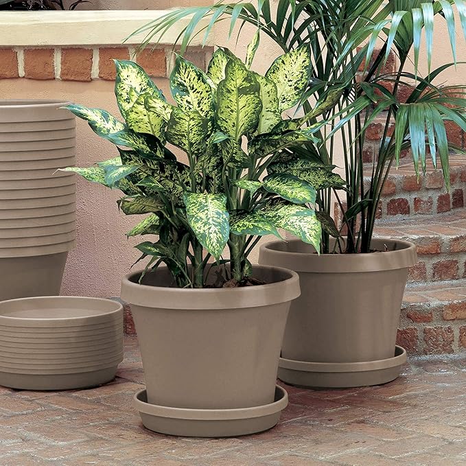 Bloem Terra 8" Diameter Round Pebble Stone Resin Planter Pot with Drainage Holes for Indoor and Outdoor Gardening
