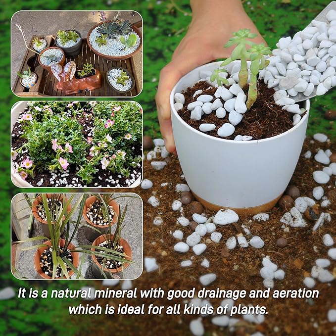 3 Quarts Chunky Perlite for Plant Soil Amendment for Potting Soil, Improves Drainage and Aeration for Soil, Ideal for Succulents, Orchid, Flower Plants (1/4 inch)