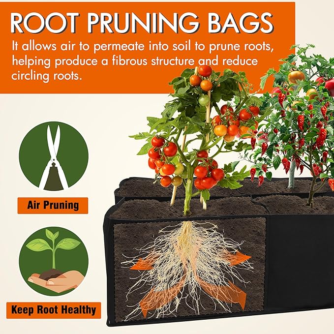 Gardzen 2 Pack Fabric Raised Garden Beds, 3x6x1 FT - 8 Grids Grow Bed for Square Foot Gardening, Planting Box for Vegetables, Herbs, Flowers