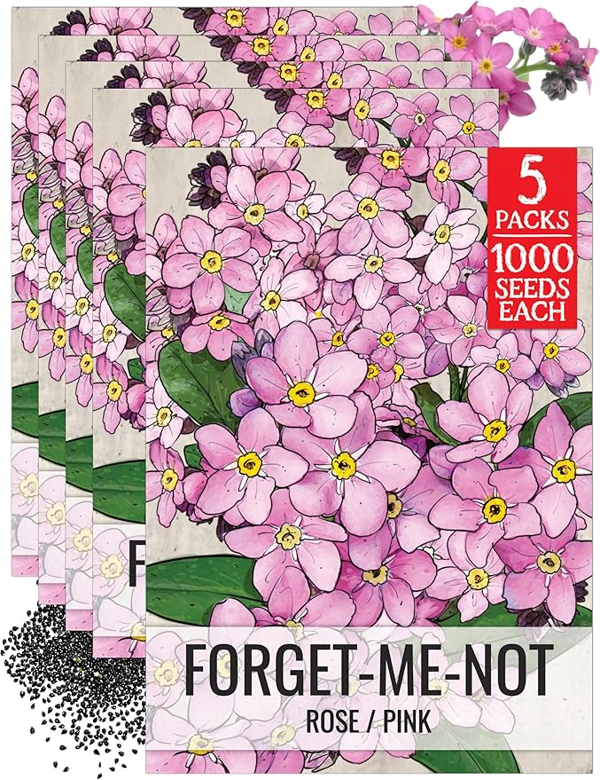 Seed Needs Rose Forget Me Not Seeds for Planting Myosotis Flowers - Heirloom & Open Pollinated Wildflowers to Plant an Outdoor Butterfly Garden to Attract Pollinators (5 Packs)