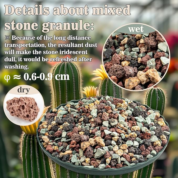 Sukh 2LBS Horticultural Succulent Rocks Bonsai Mix Succulent Potting Mix Lava Rocks Cactus Soil Potting Mix Amendment.