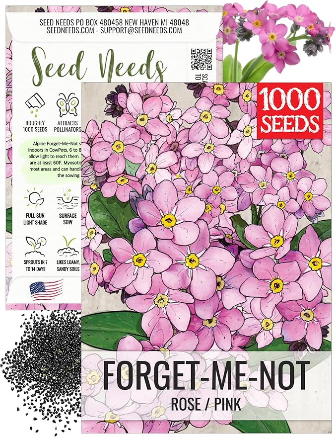 Seed Needs Forget Me Not Seeds for Planting Rose Myosotis Flowers - Heirloom & Open Pollinated Wildflowers to Plant an Outdoor Butterfly Garden to Attract Pollinators (1 Pack)