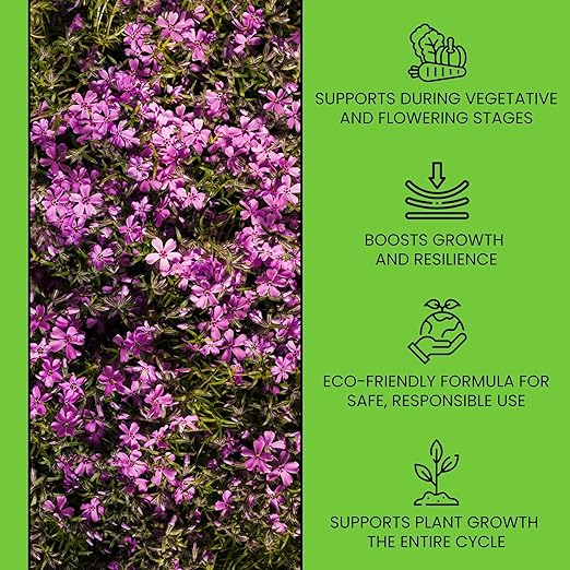 NUTRIFIELD Plant Nutrients Liquid Fertilizer 500 ML A 1-4-2 & 500 ML B 3-0-0.5 Plant Food Support Plant Growth Throughout Entire Cycle Veg and Flower Indoor Outdoor Hydroponic Coco Garden