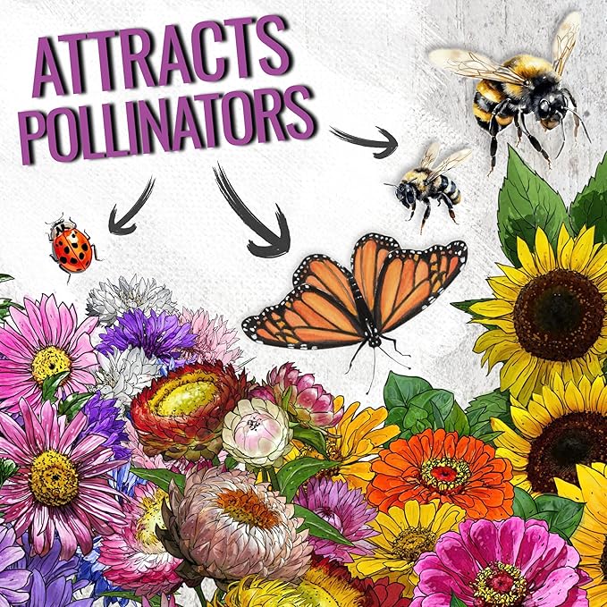 Seed Needs Garden Flower Seeds Large Blooms Mix Hummingbird and Butterfly | 1 Ounce No Filler 7 Varieties Open Pollinated | Resealable Package Live Wild Flower Seed | Bulk