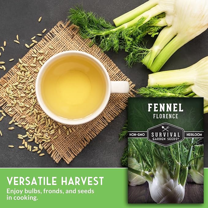 Fennel Seed for Planting - 1 Packet with Instructions to Grow Cool-Weather Florence Fennel (Finnochio) in Your Home Vegetable Garden - Non-GMO Heirloom Variety - Survival Garden Seeds