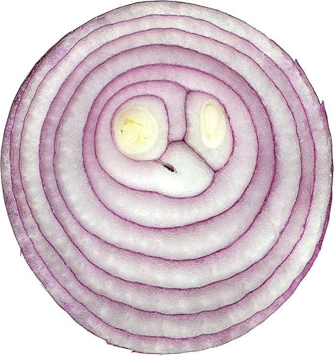 Onion RED Creole Great Heirloom Vegetable by Seed Kingdom Bulk 1 OZ Seeds