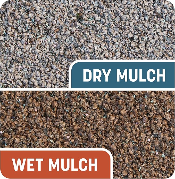 Pennington Smart Patch Bermudagrass Mix Jug 5 lb