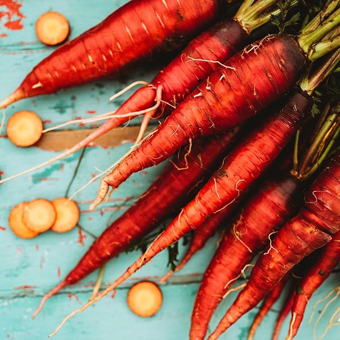 Cosmic Purple Carrot - 150 Seeds - Heirloom & Open-Pollinated Variety, Non-GMO Vegetable Seeds for Planting Indoors or Outdoors in Containers or The Home Garden, Thresh Seed Company