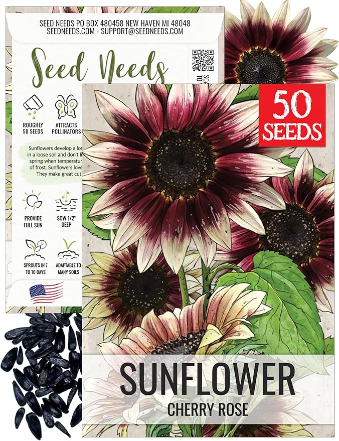 Seed Needs Sunflower Seeds for Planting Cherry Rose Sunflowers - Hybrid Flowers with Unique Bi-Colors for an Outdoors Flower Garden - Great for Cut Flowers in Bouquets & Floral Arrangements (1 Pack)