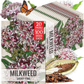 Seed Needs Showy Milkweed Seeds for Planting - Untreated & Open Pollinated, Attracts Monarch Butterflies in a Butterfly Garden (20 Packs)