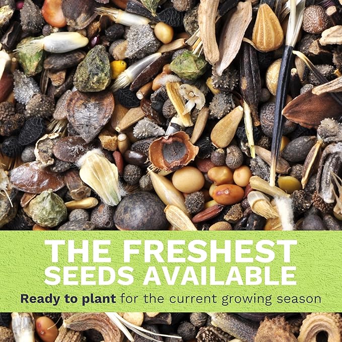 Milkweed Seed Variety Pack | 5 Individual Packs - 2026 Season - Showy, Pink Swamp, Butterfly Orange, Common Pink, Blood Flower | for Planting | by Sweet Yards