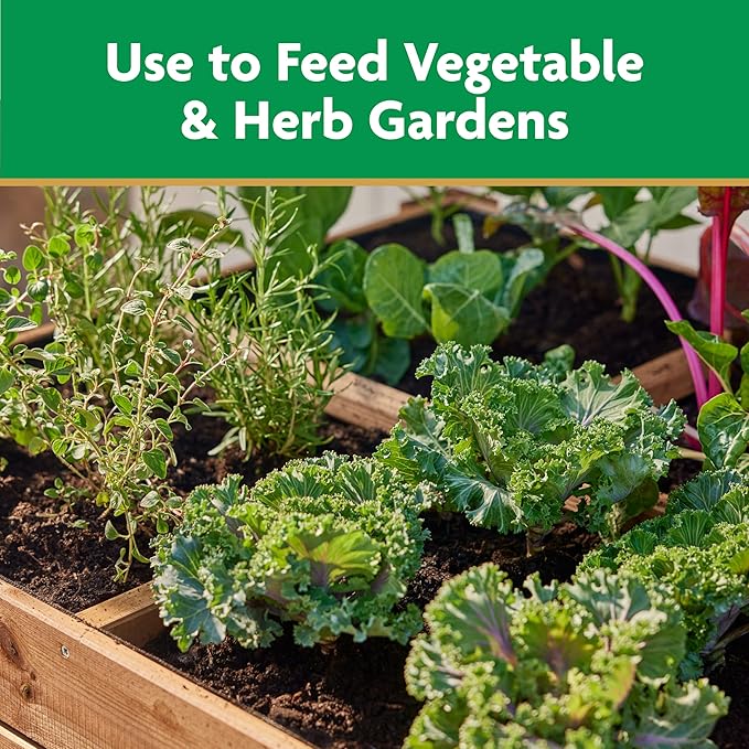 Miracle-Gro Water-Soluble Plant Food for Vegetables & Herbs - Garden Fertilizer for Tomatoes Squash Peppers Cucumbers - Boosts Yield - Abundant Harvest, 2 lbs.