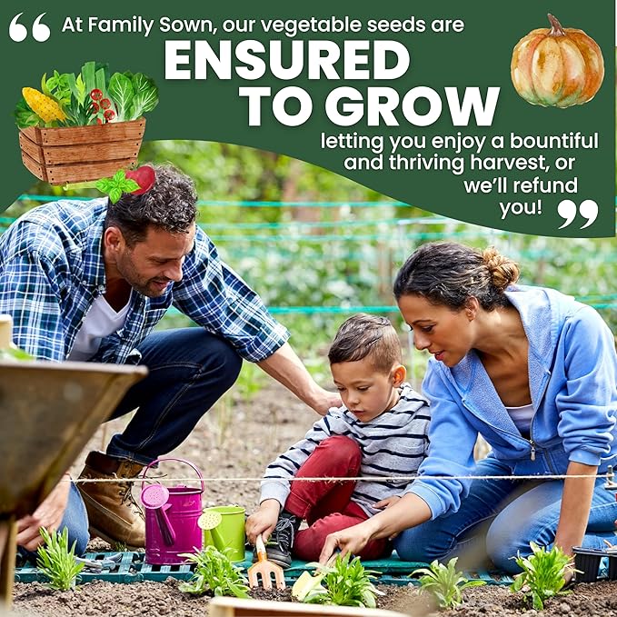 Herb Seeds | 10 Invidiual Packs | 2026 Season | Non-GMO | Mint, Parsley, Basil, Thyme & More! | for Planting Indoor & Outdoor | by Family Sown