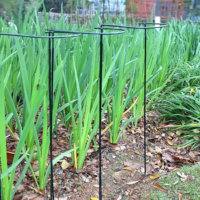 6-Pack Garden Plant Support Cages,14"Diax32"H Heavy Duty Interlinked Half Round Peony Support Rings,Metal Plant Support Stakes for Peony,Tomato,Hydrangea,Rose,Indoor & Outdoor Garden Plant Supports