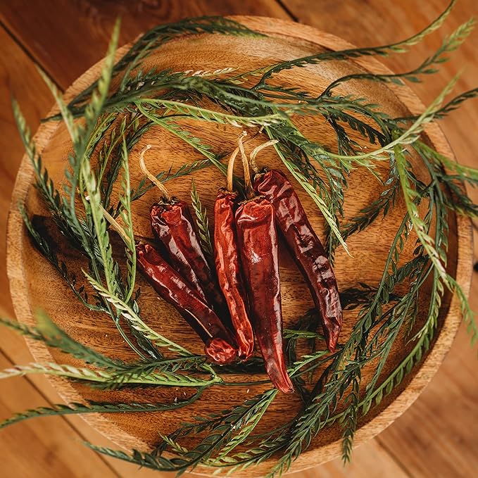 Mulato Mexican Chile Pepper - 25 Seeds - Heirloom & Open-Pollinated Variety, USA-Grown Chili Seeds, Non-GMO Vegetable Seeds for Planting Outdoors in The Home Garden, Thresh Seed Company