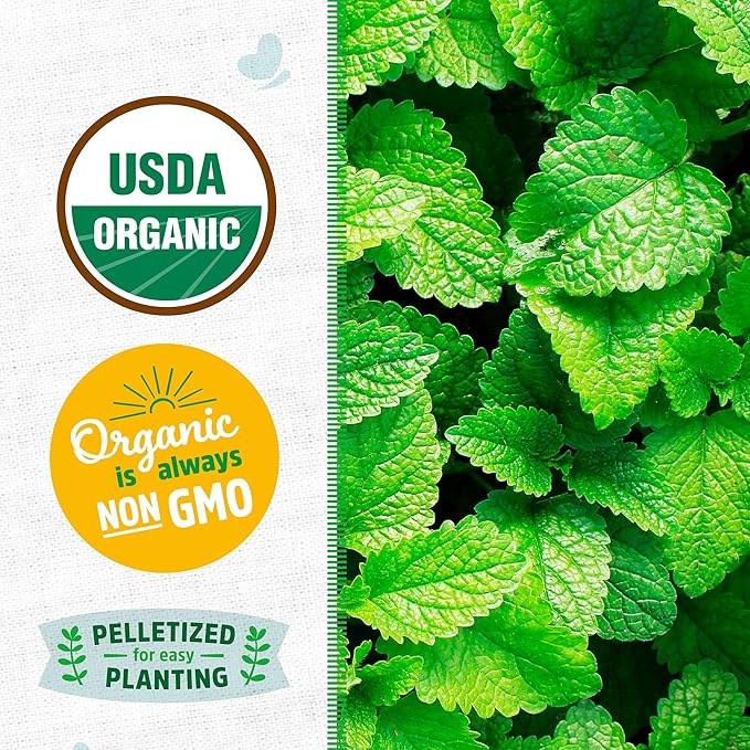 Back to The Roots 100% Organic Seed Packets - Peppermint (Pack of 2)