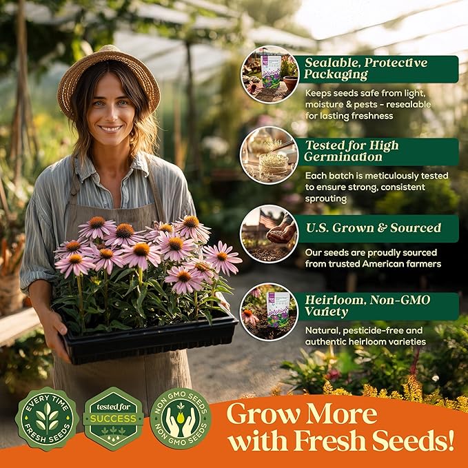 Seedphony Echinacea Seed Pack 1 oz - 9,300 Non-GMO Heirloom Echinacea Seeds for Planting, Perennial Flowers in Waterproof Seed Packet, Coneflower Seeds for Planting Garden Indoor & Outdoor Gardening